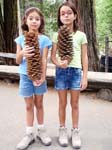 Yosemite_096