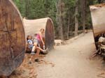 Yosemite_098