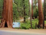 Yosemite_101