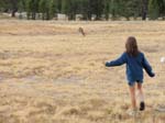 Yosemite_107