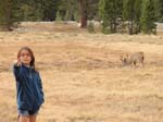 Yosemite_108