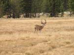 Yosemite_109