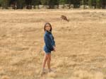 Yosemite_110
